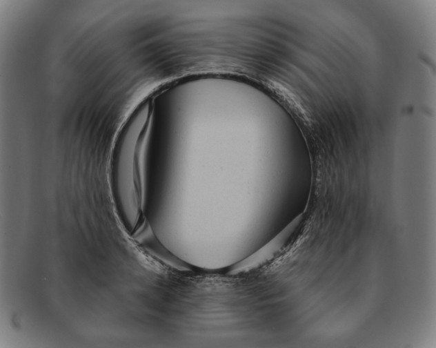 X0000091290942200708311314