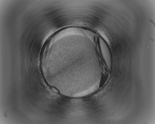 X0000091290944200708311314