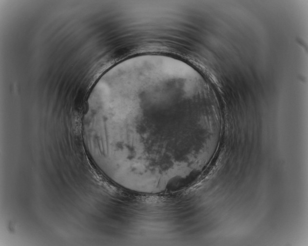 X0000091290945200708311314