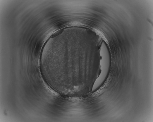 X0000091290946200708311314