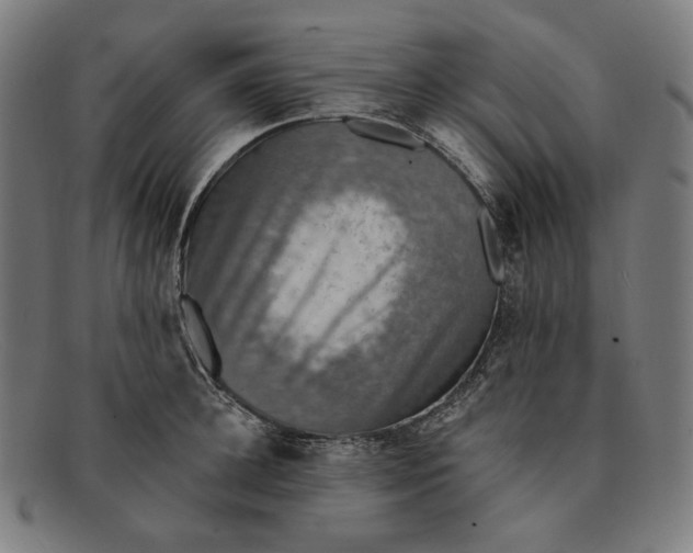 X0000091290948200708311314