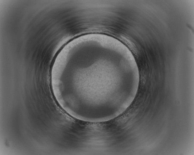 X0000091290950200708311314