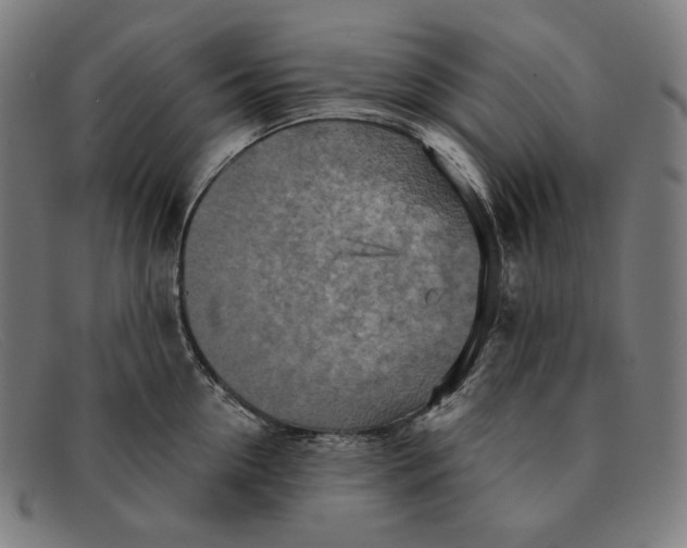 X0000091290954200708311314