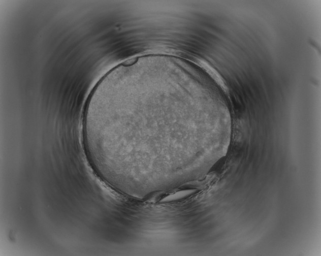 X0000091290955200708311314