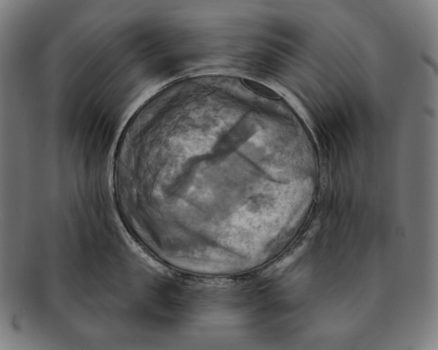 X0000091290957200708311314