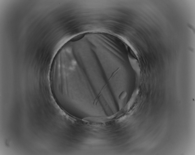 X0000091290959200708311315