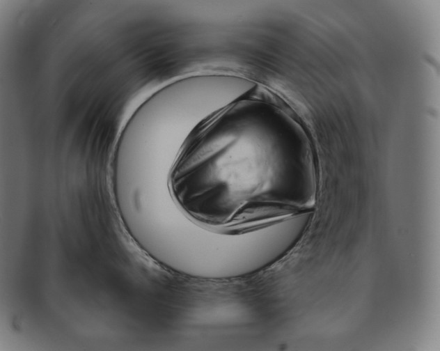 X0000091290960200708311315