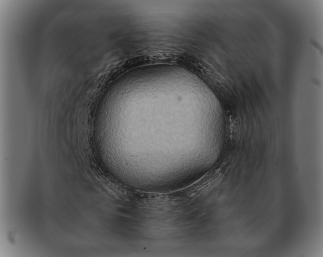 X0000091290961200708311314