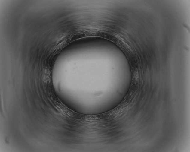 X0000091290964200708311314