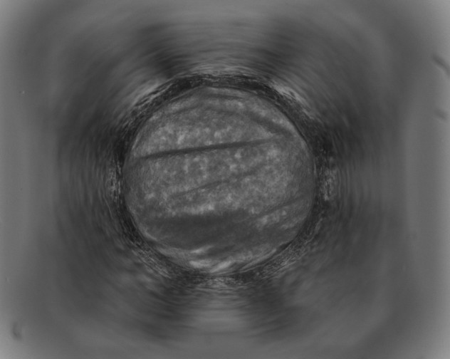 X0000091290966200708311314