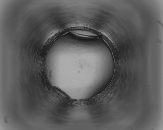 X0000091290967200708311314