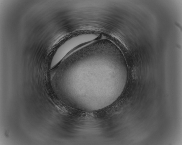 X0000091290968200708311314