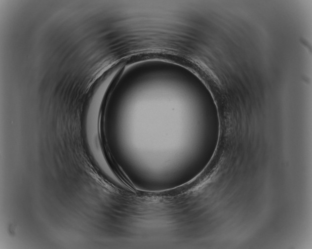 X0000091290969200708311314