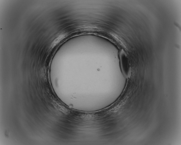 X0000091290970200708311314