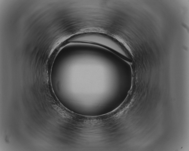 X0000091290973200708311314