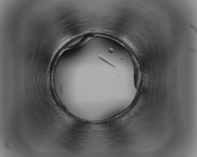 X0000091290976200708311314