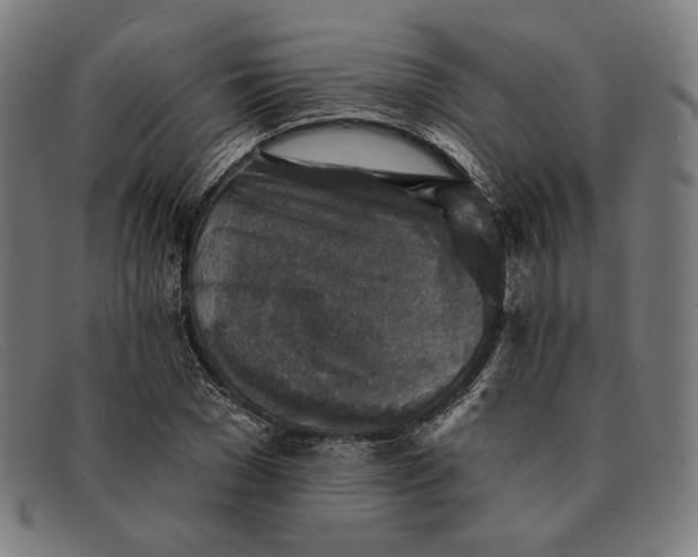 X0000091290977200708311314