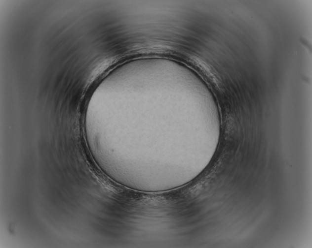 X0000091290978200708311314