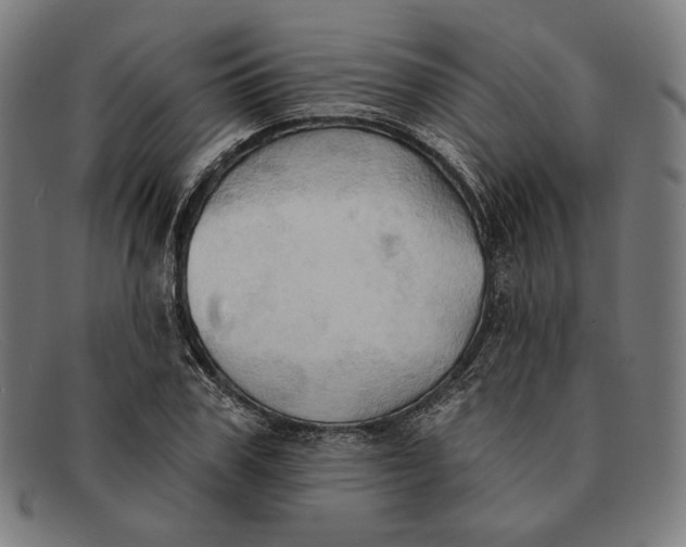 X0000091290979200708311314