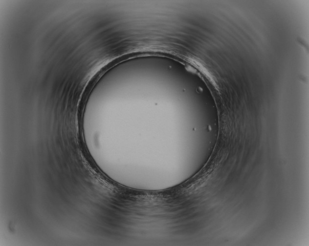 X0000091290980200708311314