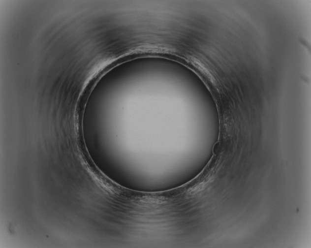 X0000091290981200708311314