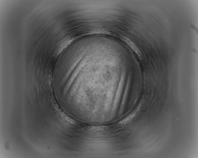 X0000091290985200708311314