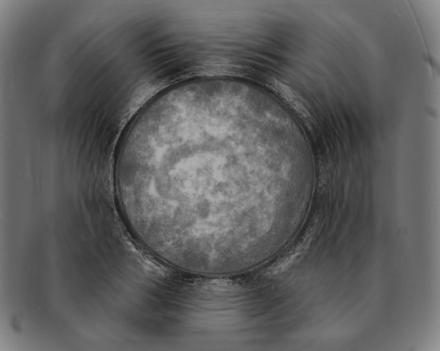 X0000091290986200708311313