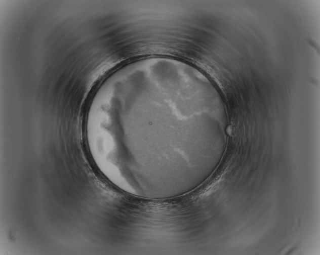 X0000091290987200708311313