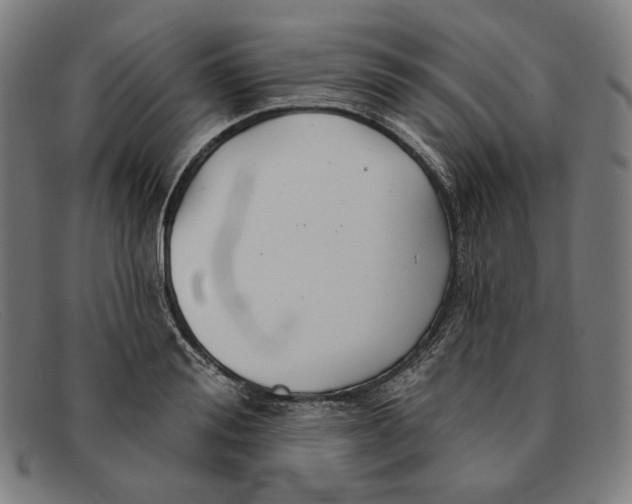 X0000091290988200708311313