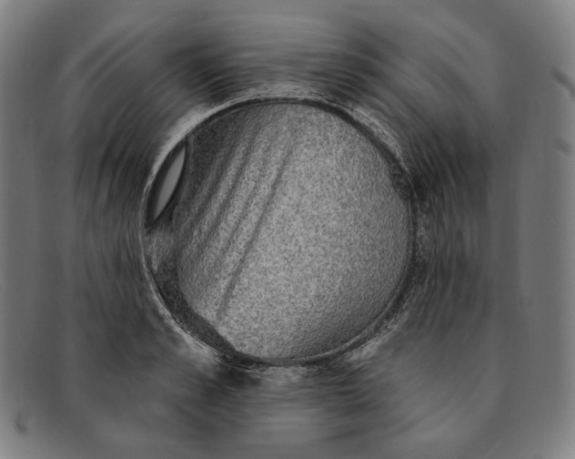 X0000091290989200708311313