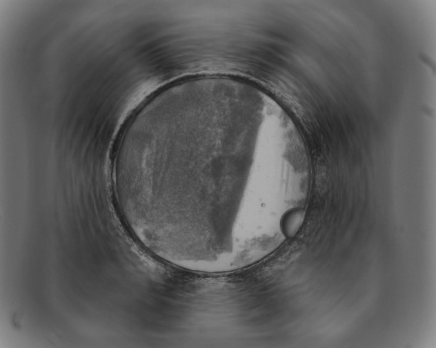 X0000091290990200708311313