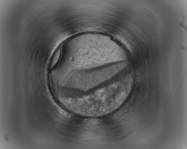 X0000091290991200708311313