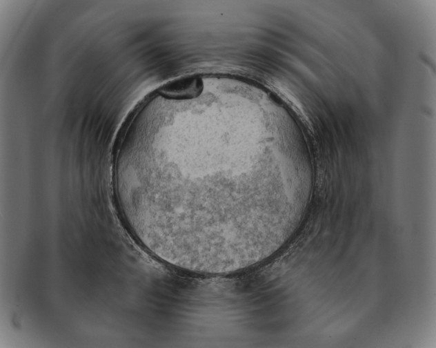 X0000091290992200708311313