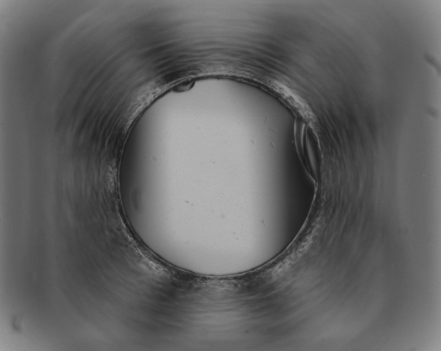 X0000091290993200708311313