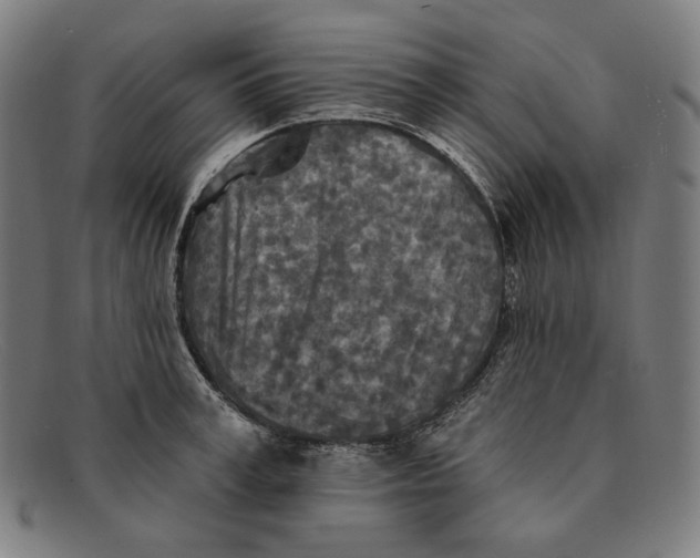 X0000091290995200708311313