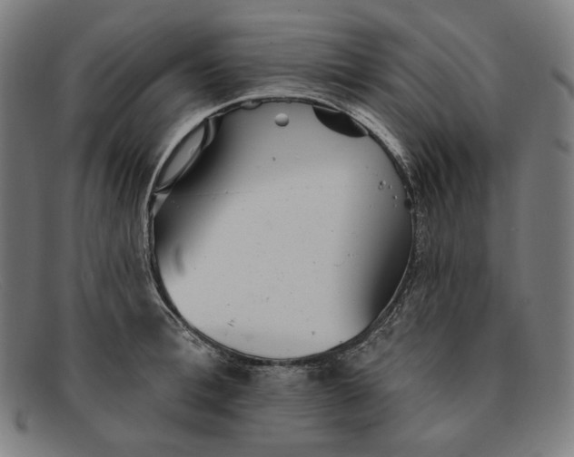 X0000091290996200708311313