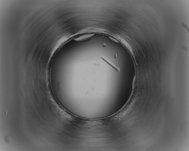 X0000091290997200708311313