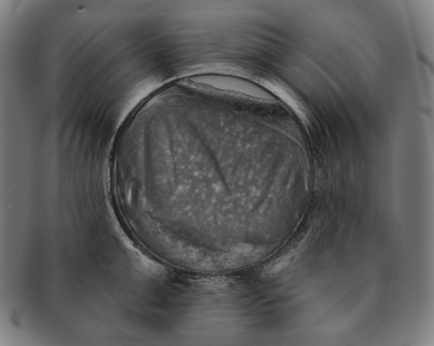 X0000091290999200708311313