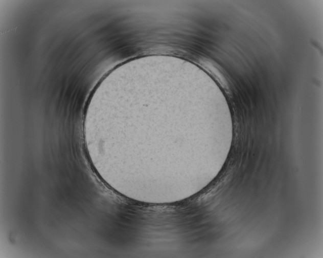 X0000091291000200708311313