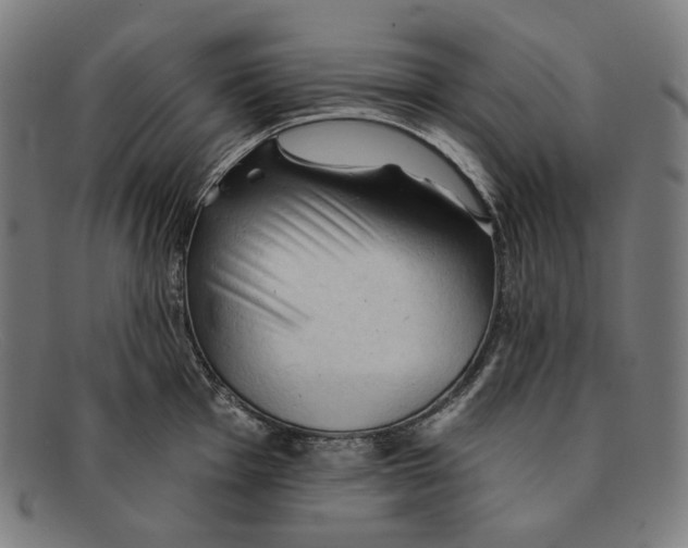 X0000091291001200708311313