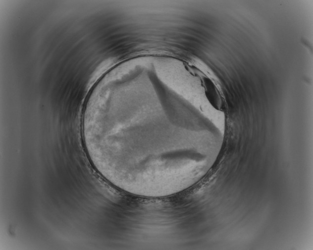 X0000091291002200708311313