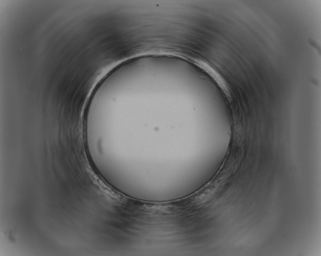 X0000091291004200708311313