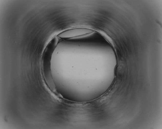 X0000091291005200708311313