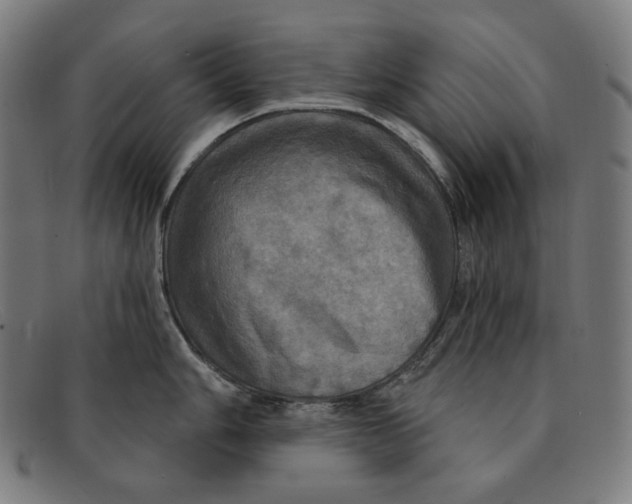 X0000091291006200708311313