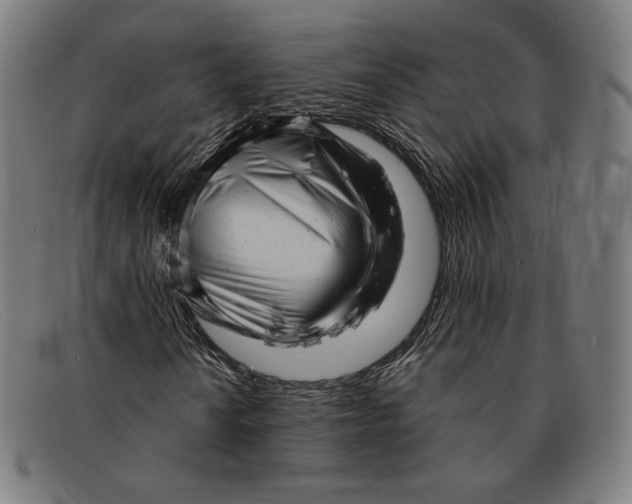 X0000091291010200708311313