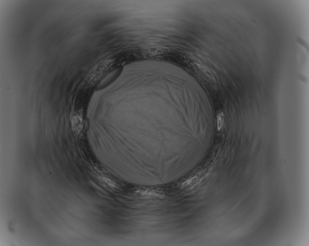 X0000091291011200708311313