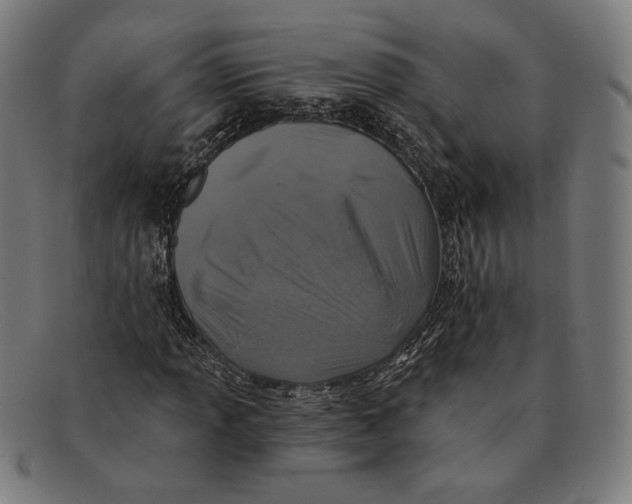 X0000091291013200708311313