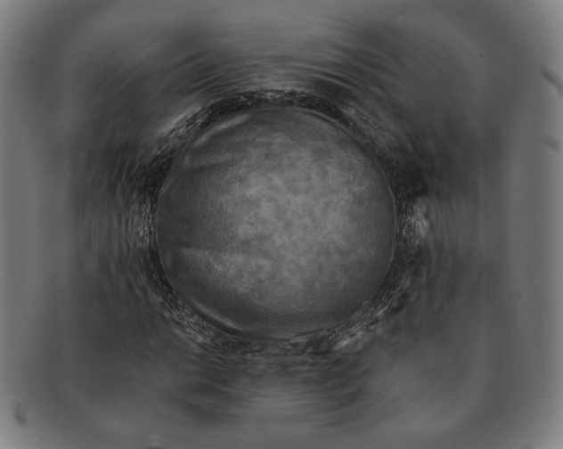 X0000091291014200708311313