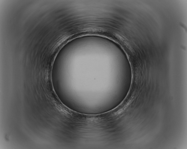 X0000091291017200708311313