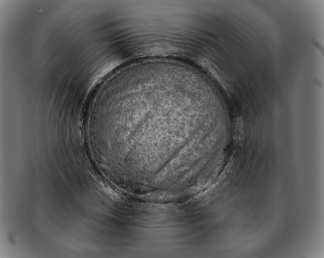 X0000091291018200708311313